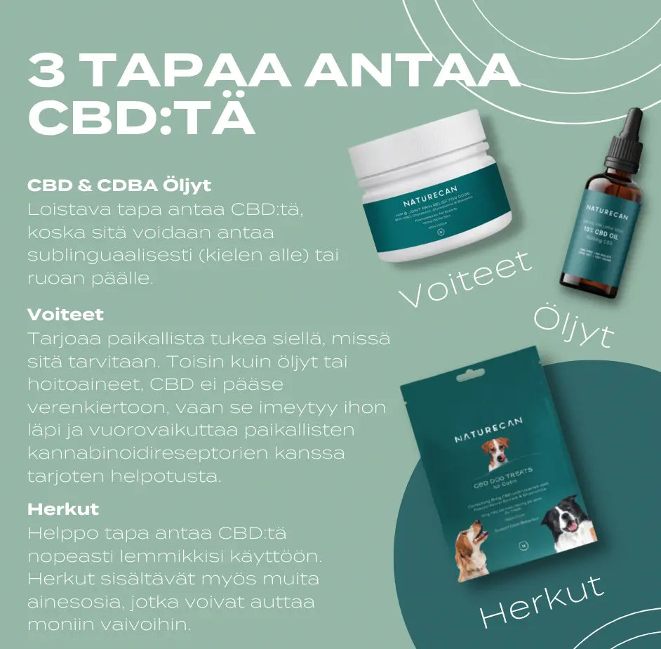 cbd tuotteet koirille