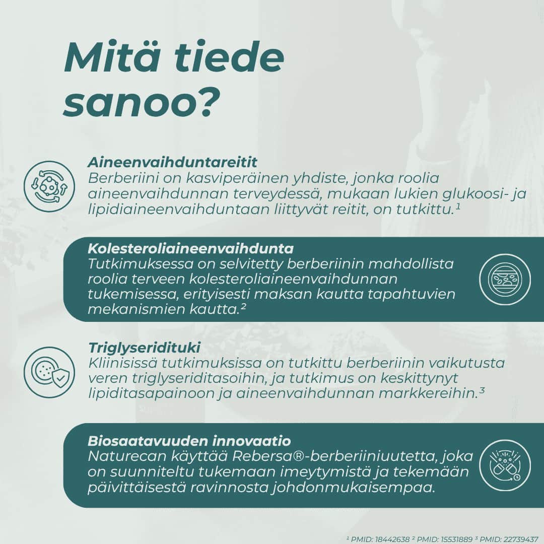 Berberiini ja painonpudotus