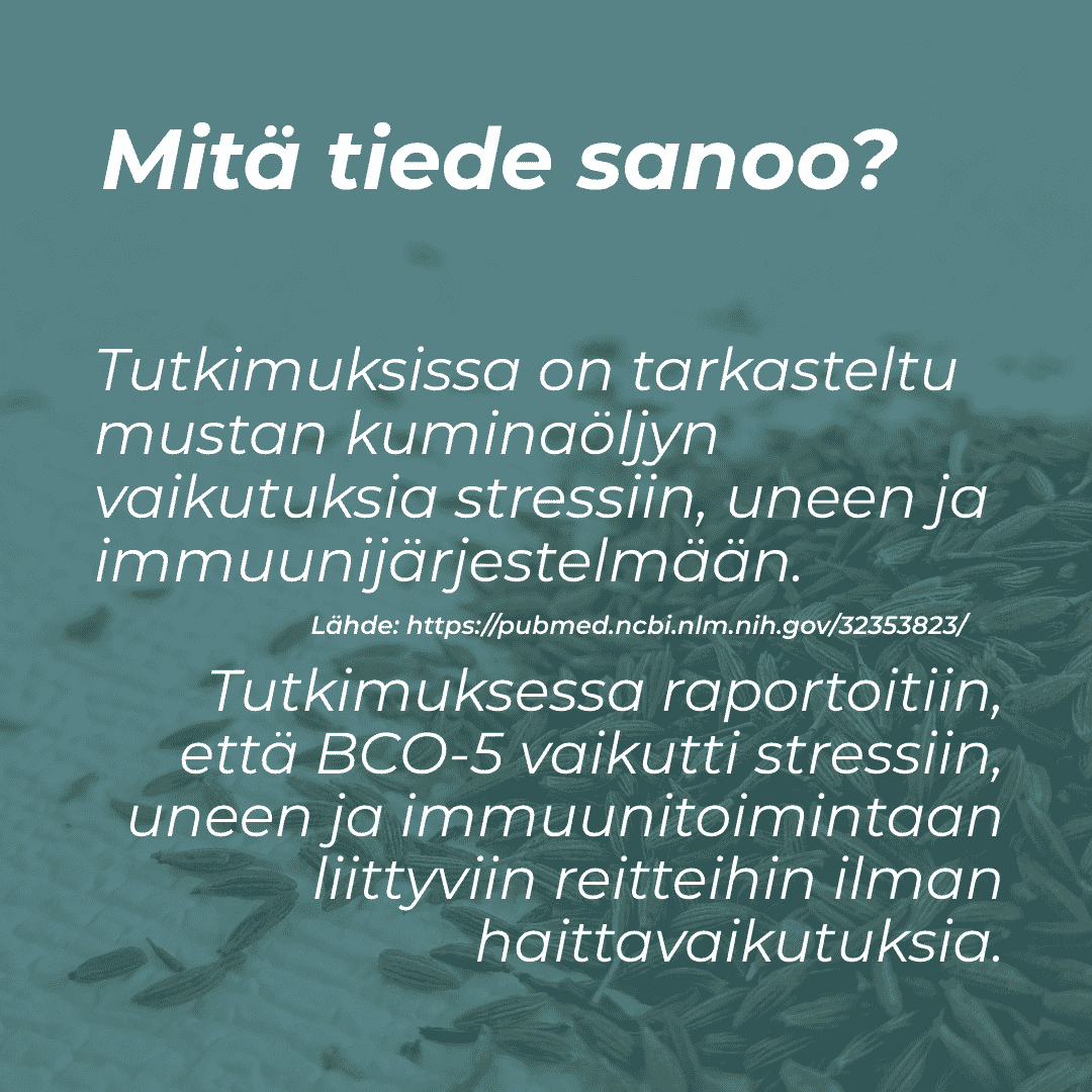 mustakumina siemenet