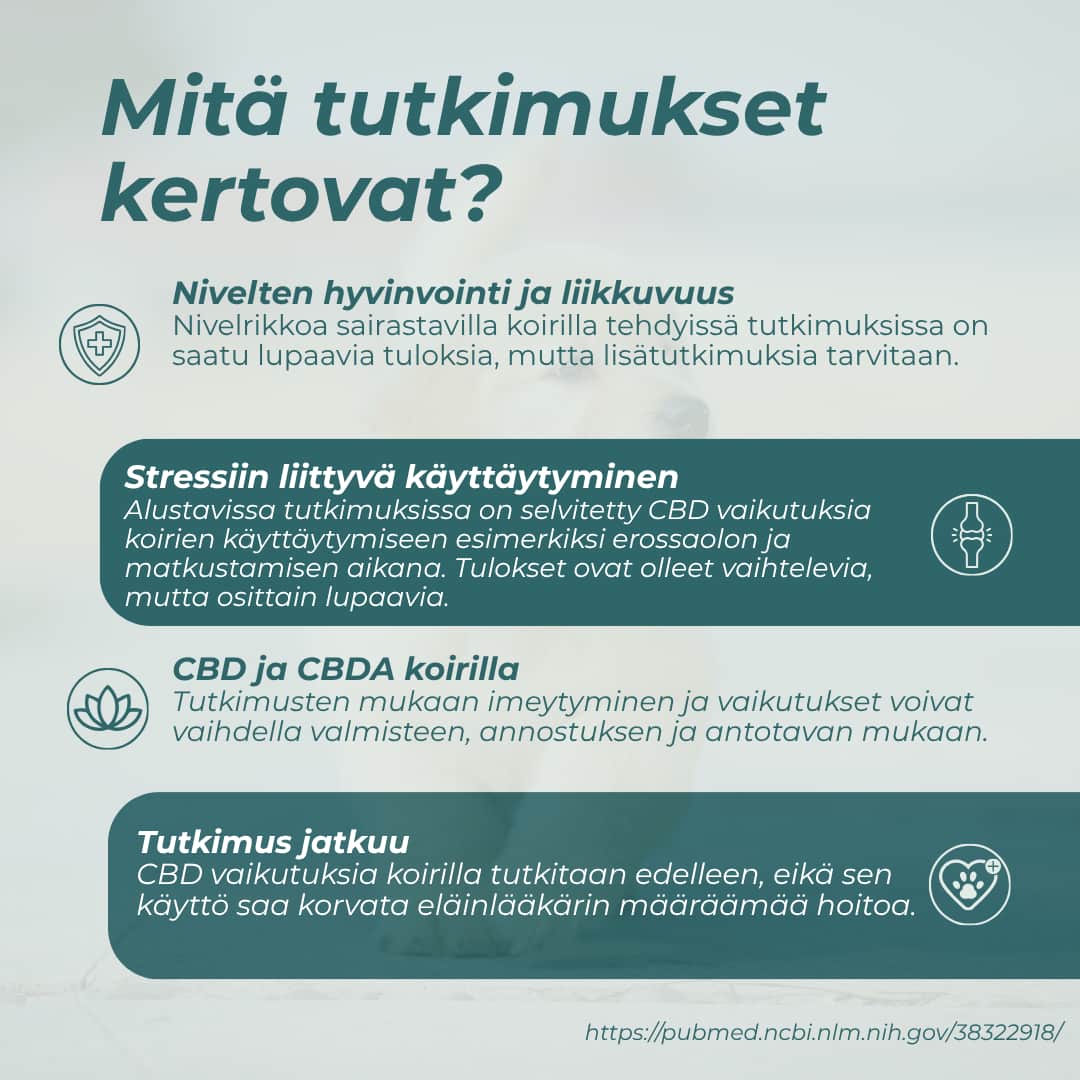 tutkimus CBD-Öljy koiralle