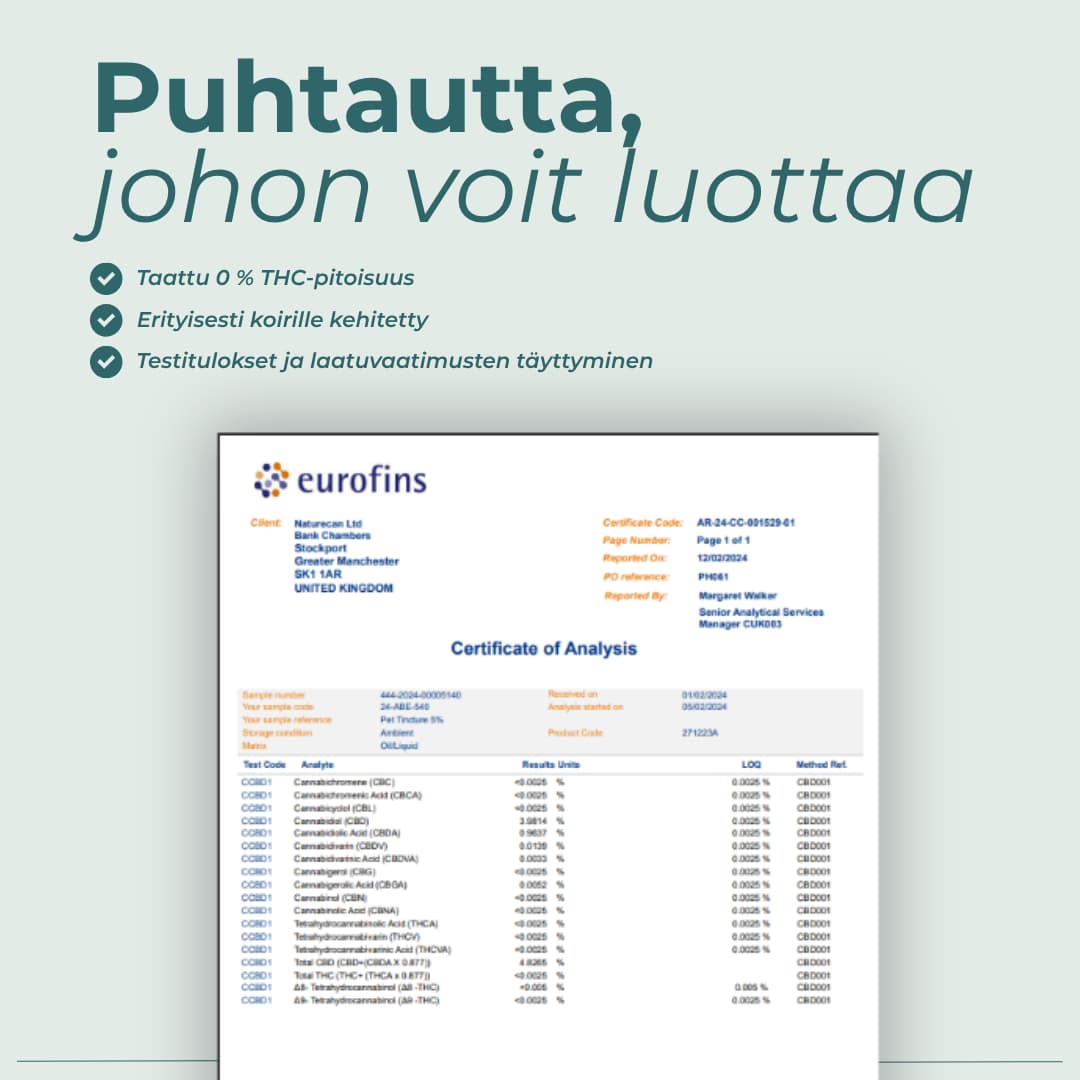 puhtaus CBD-Öljy koiralle