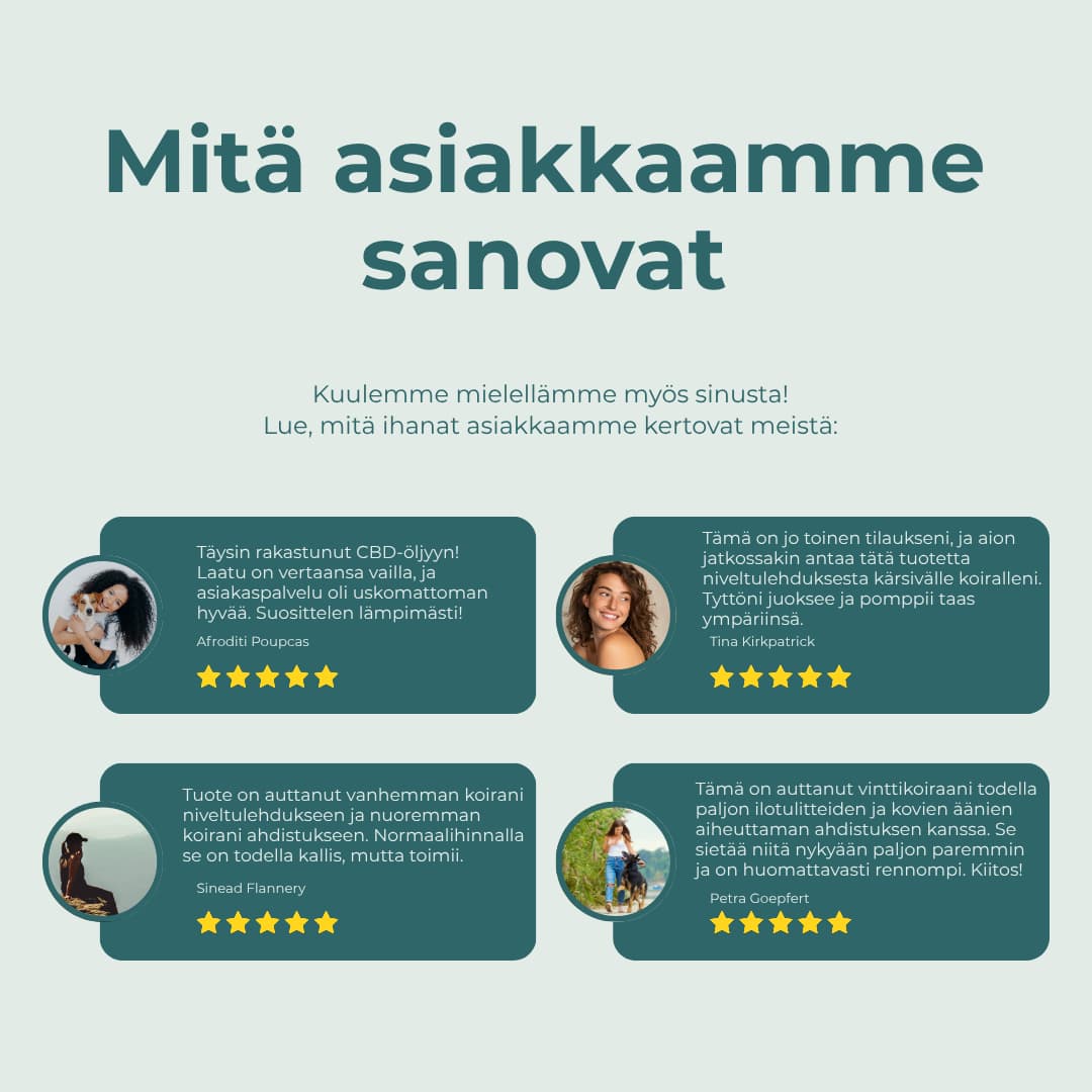 mitä asiakkaat sanovat CBD-Öljy koiralle