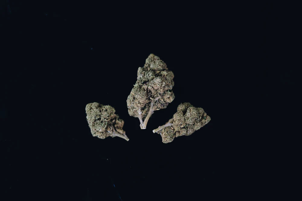 indica vs sativa