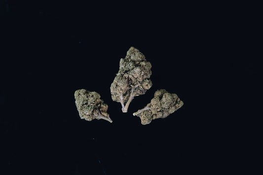 indica vs sativa