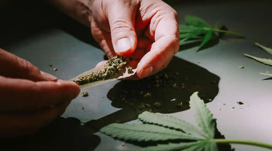 Kannabiksen vieroitusoireet