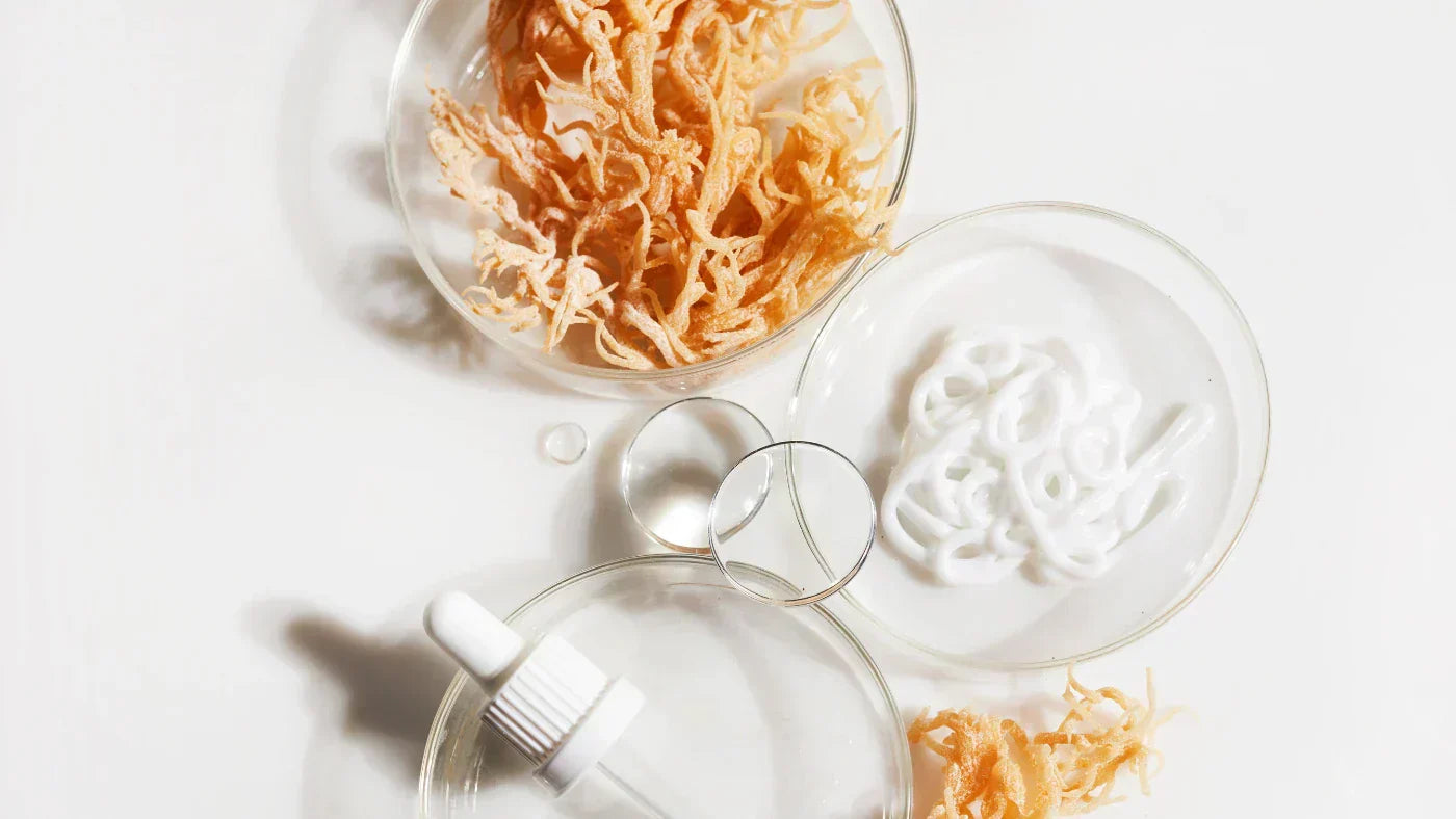 sea moss hyödyt