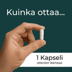 Alpha-GPC annostelu päivässä