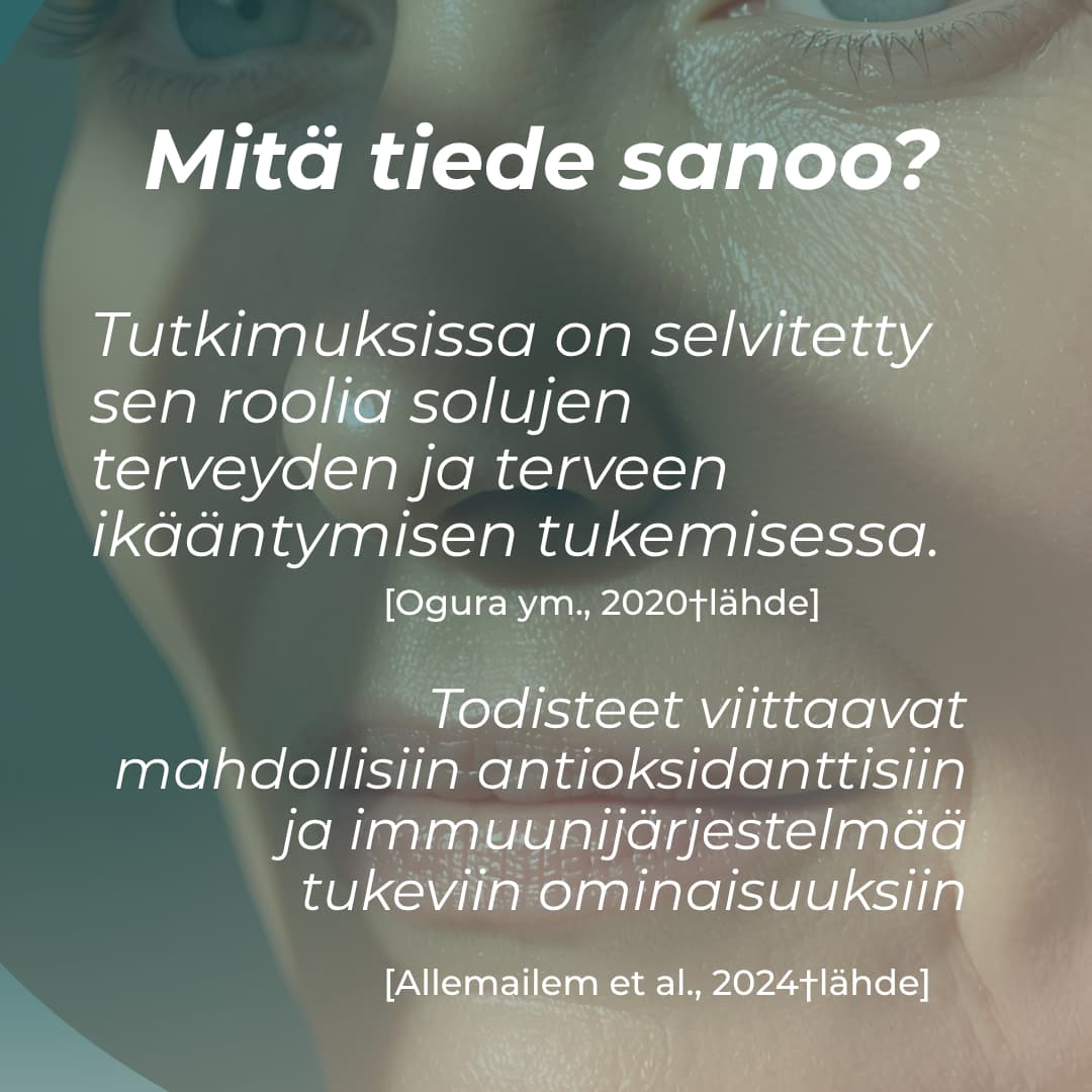 Mitä tiede sanoo Apigeniinistä