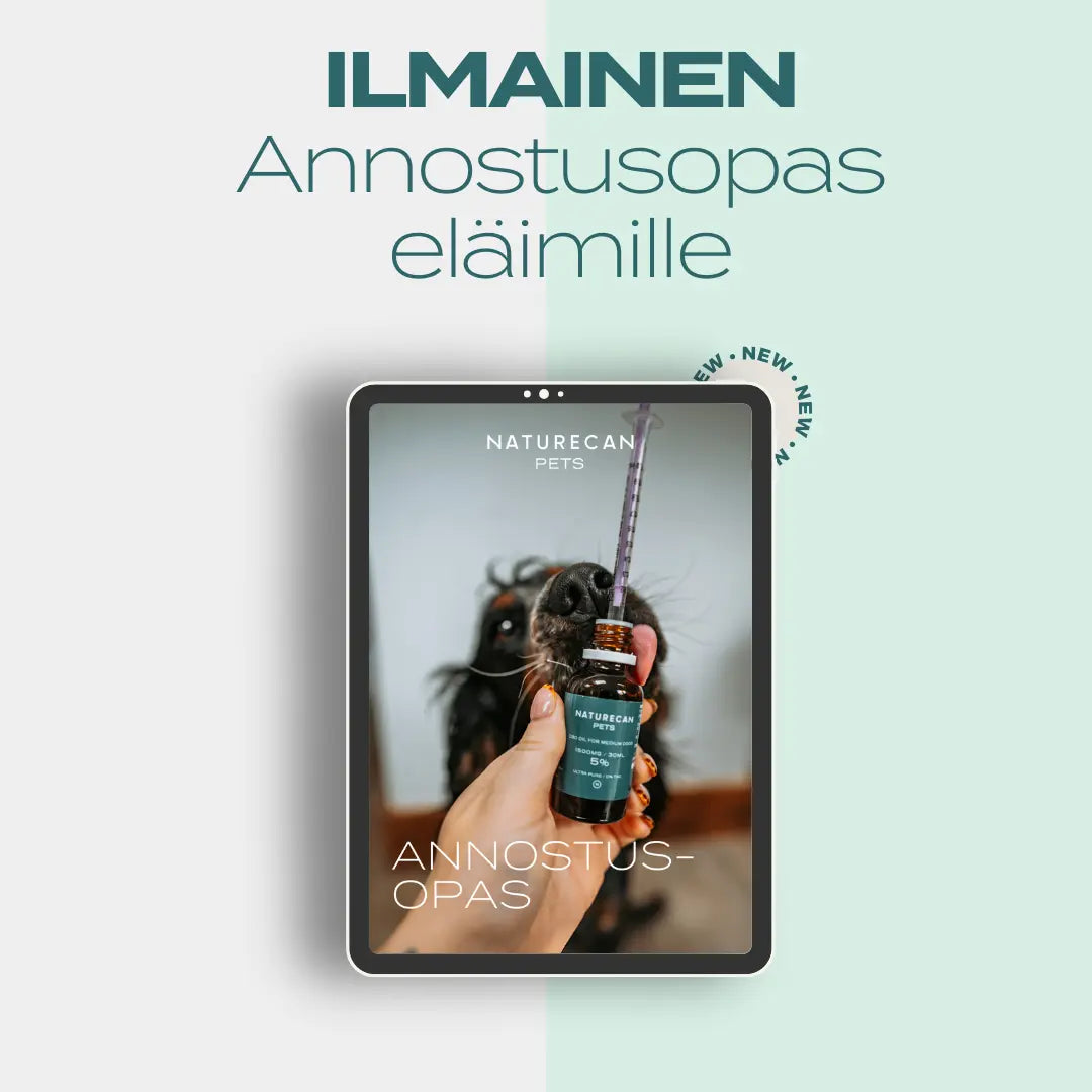CBD Annostusopas Lemmikeille