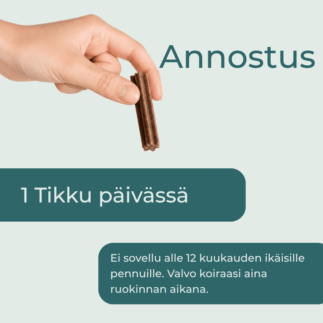 CBD-Hammashoitotikut annostus