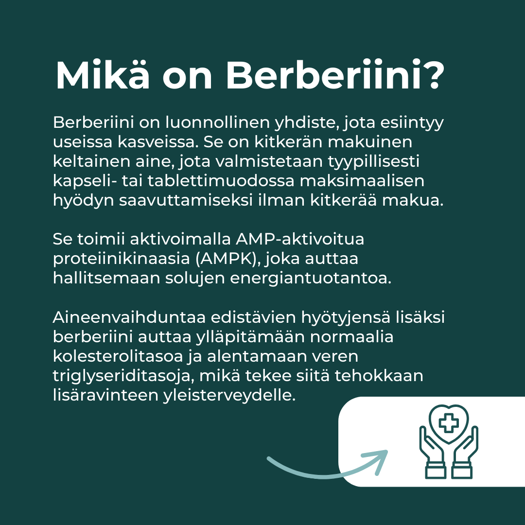 mikä on Berberiini