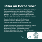 mikä on Berberiini