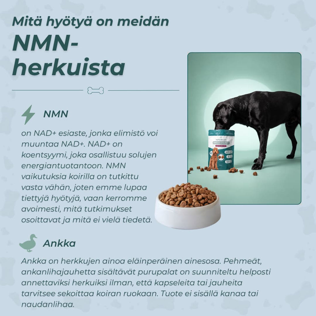 NMN-herkut hyödyt