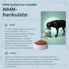 NMN-herkut hyödyt