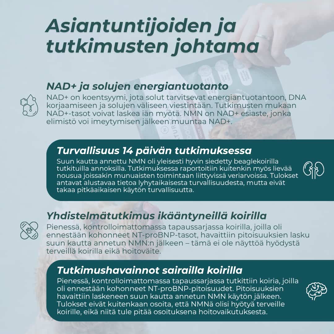 NMN-herkut tutkimus