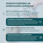 NMN-herkut tutkimus