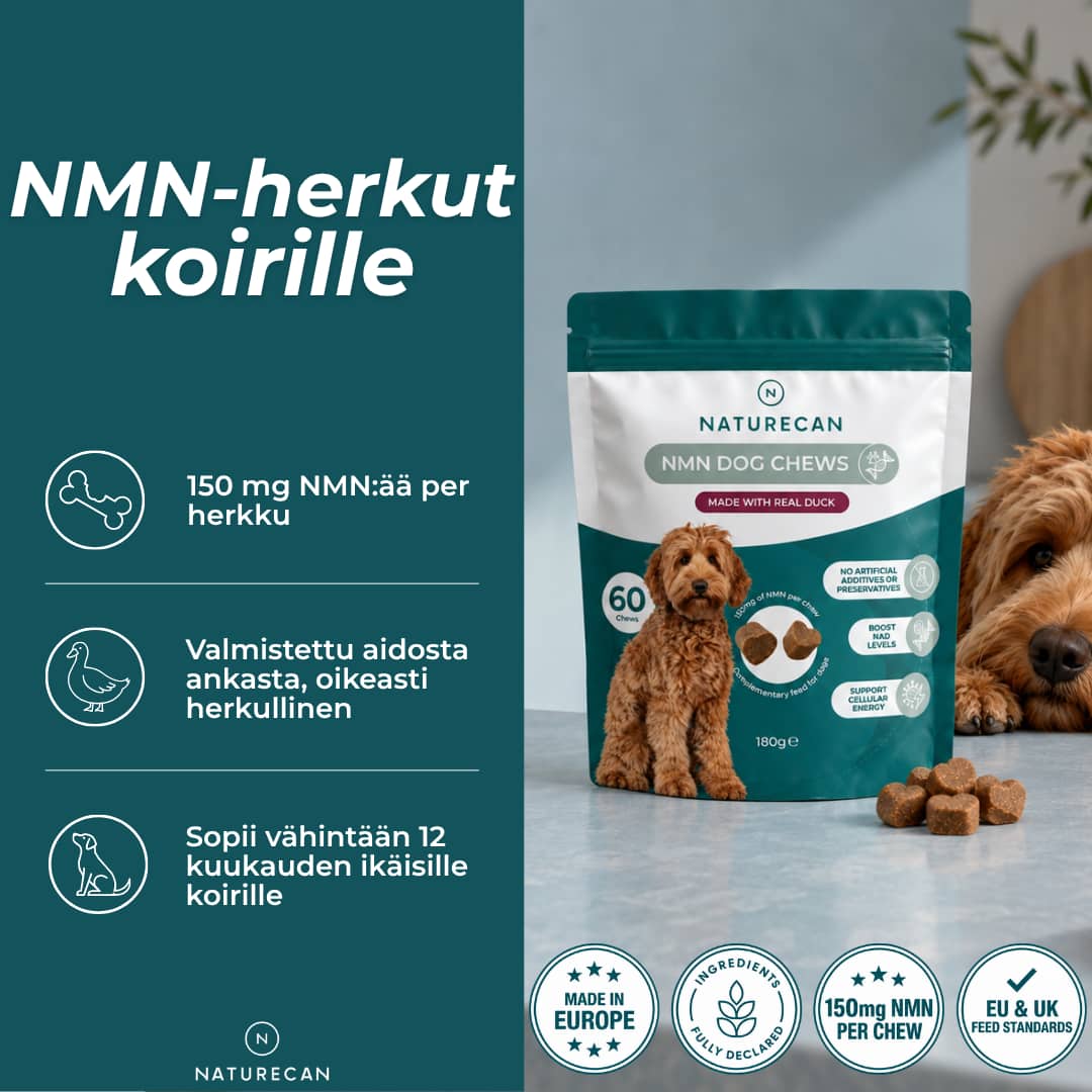 NMN-herkut koirille