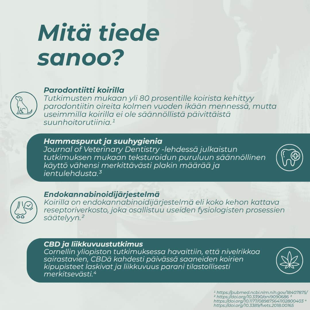 mitä tiede sanoo CBD-Hammashoitotikut