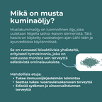 mustakumina siemenet