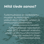 mustakumina siemenet