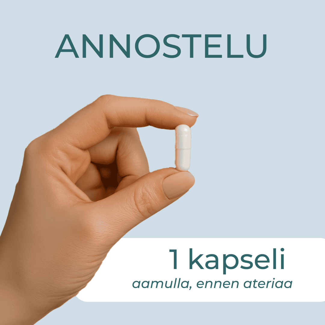 Inkivääri annostelu