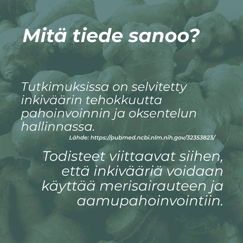 mihin inkivääri auttaa