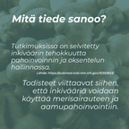 mihin inkivääri auttaa