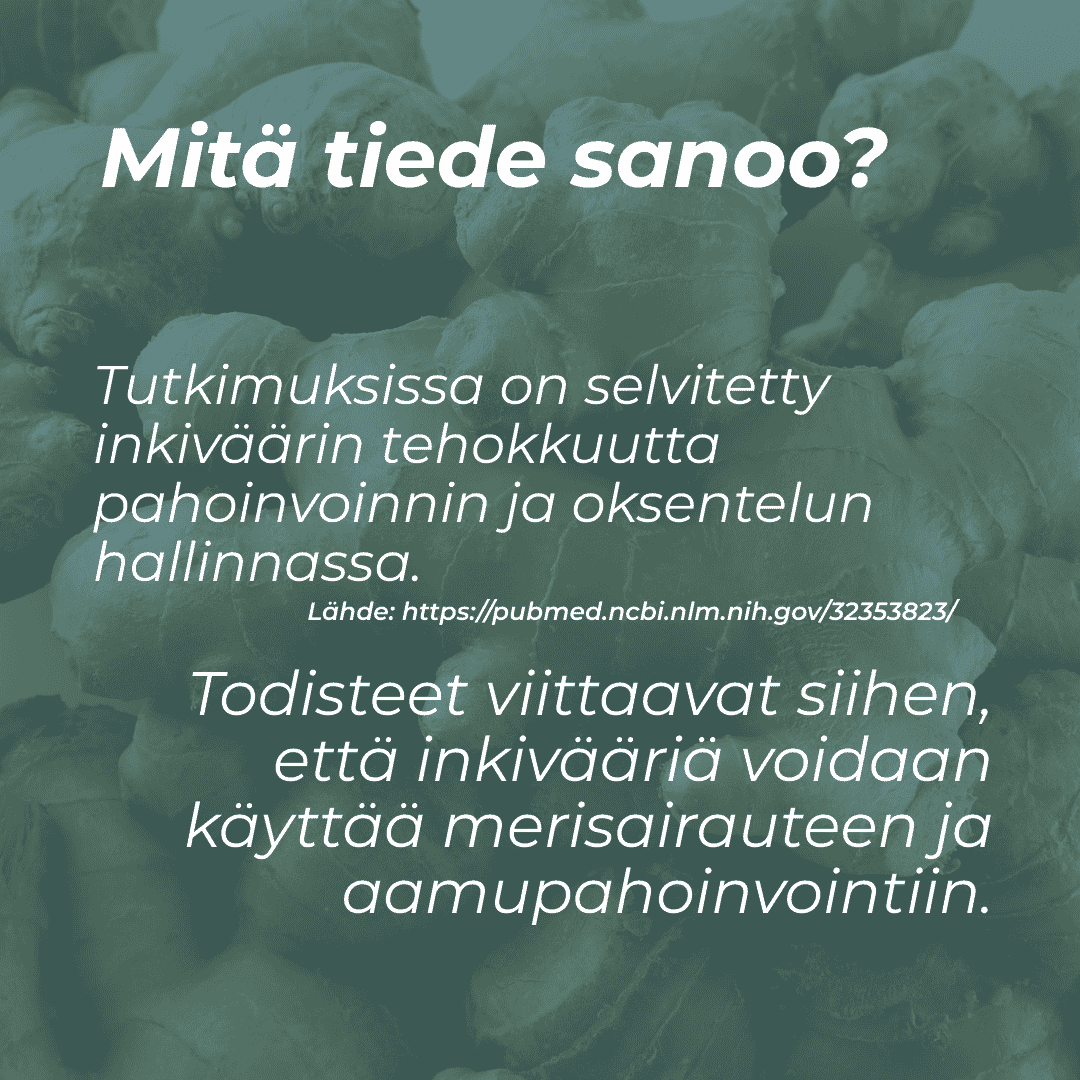 mihin inkivääri auttaa