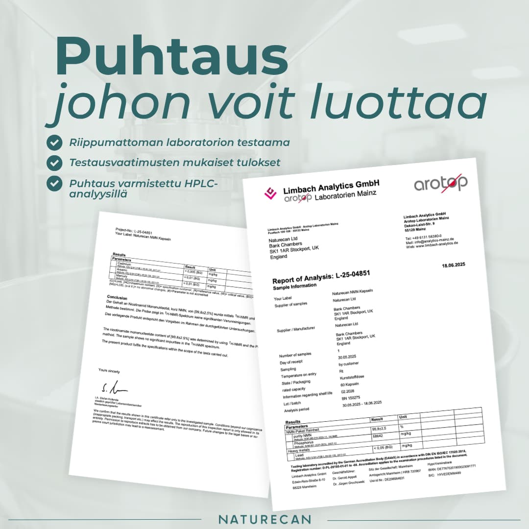 NMN puhtaus