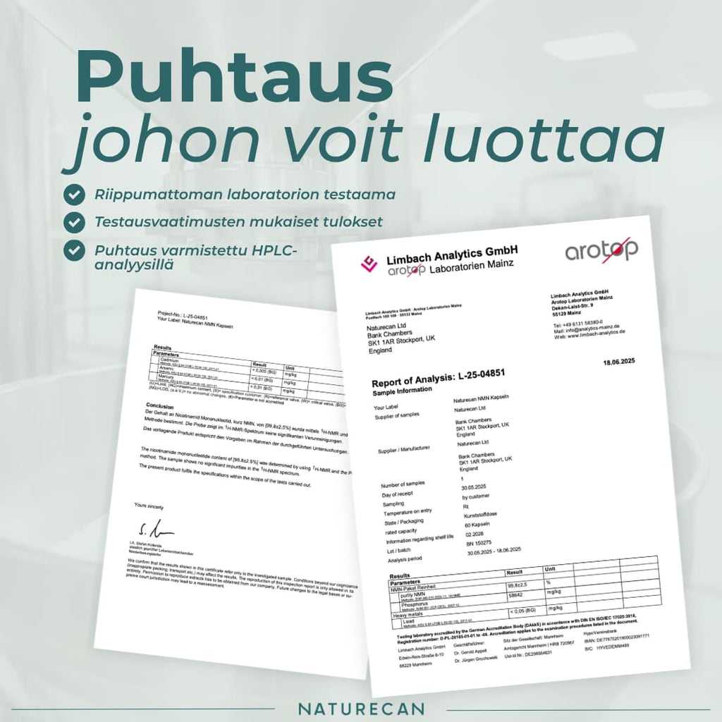 NMN puhtaus