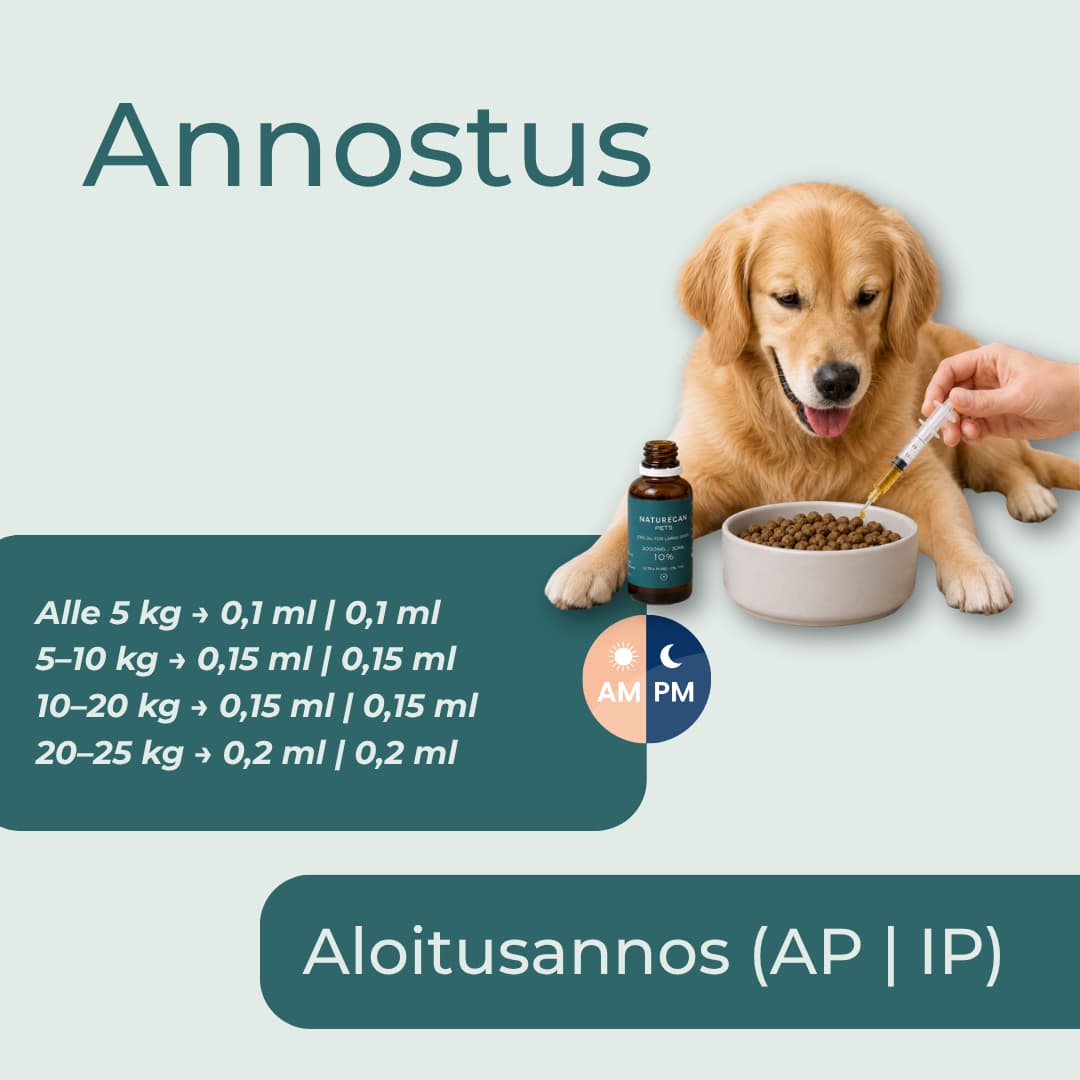 Annostus CBD-Öljy koiralle