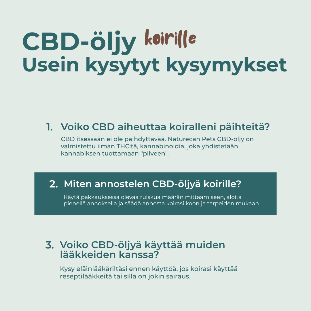 Miten annostan CBD-Öljy koiralle