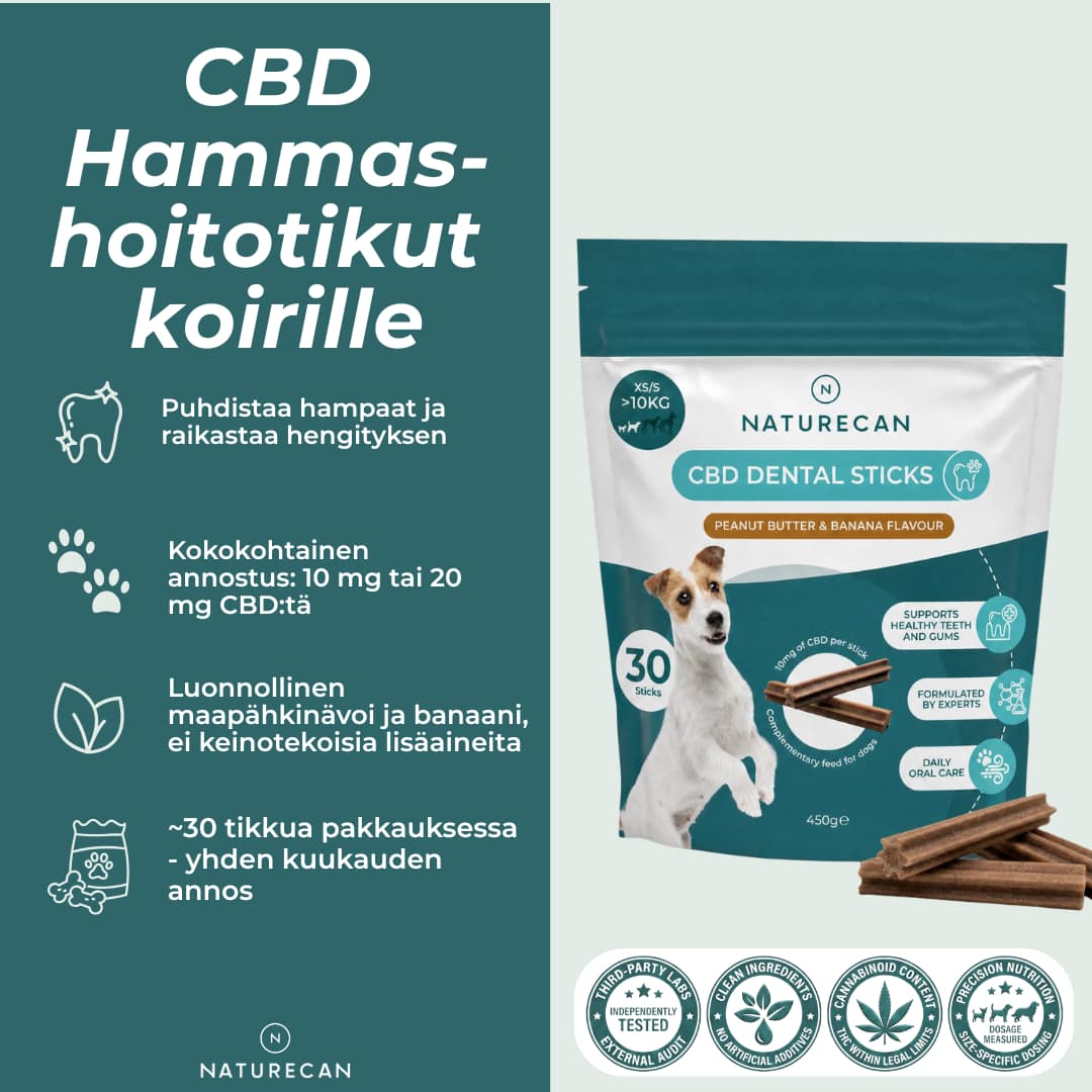 CBD-Hammashoitotikut koirille