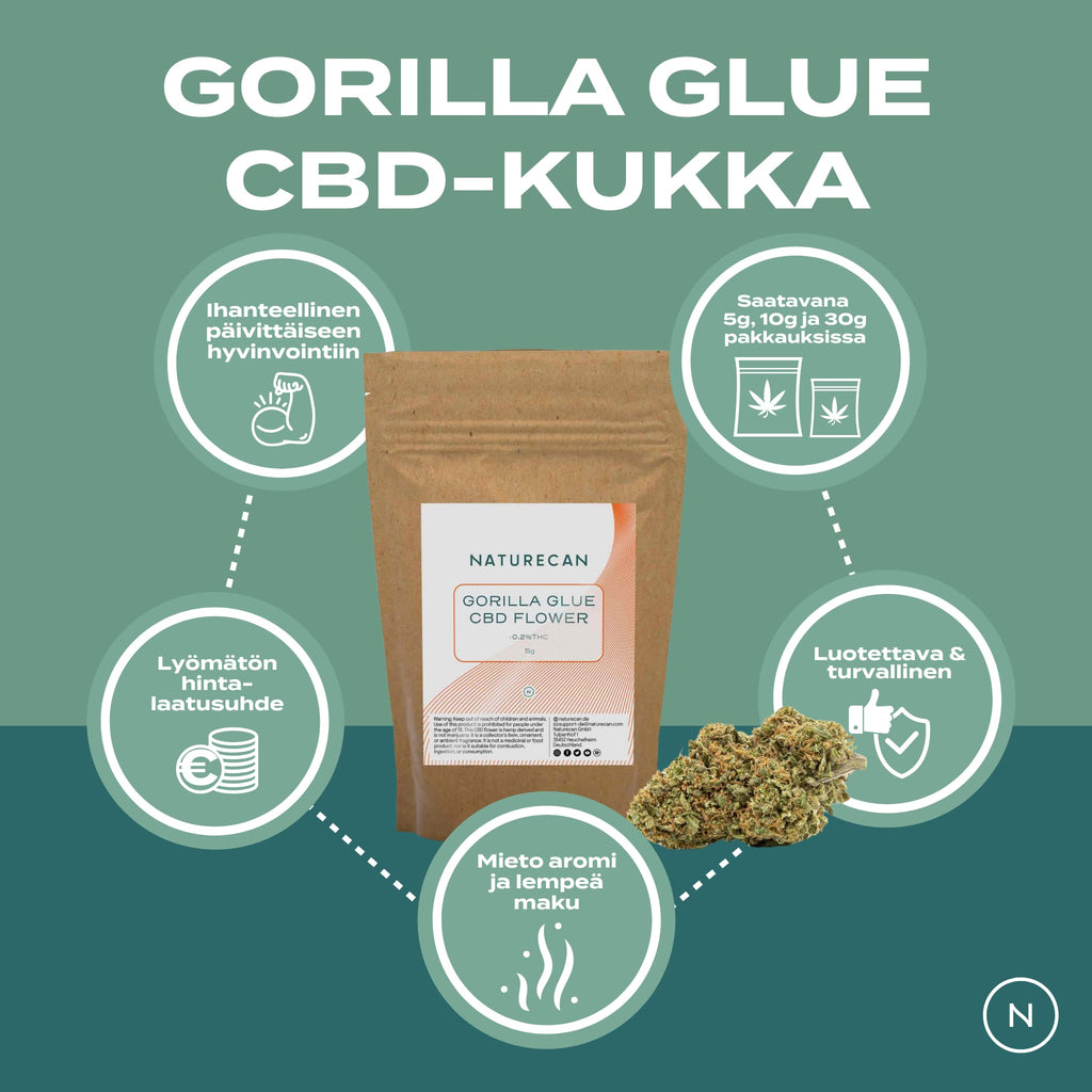 CBD-Kukka – Gorilla Glue