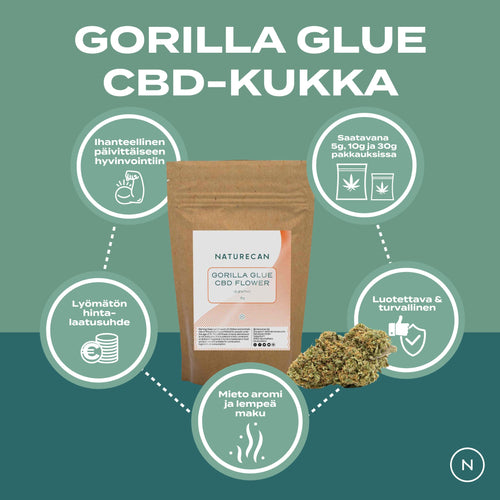CBD-Kukka – Gorilla Glue