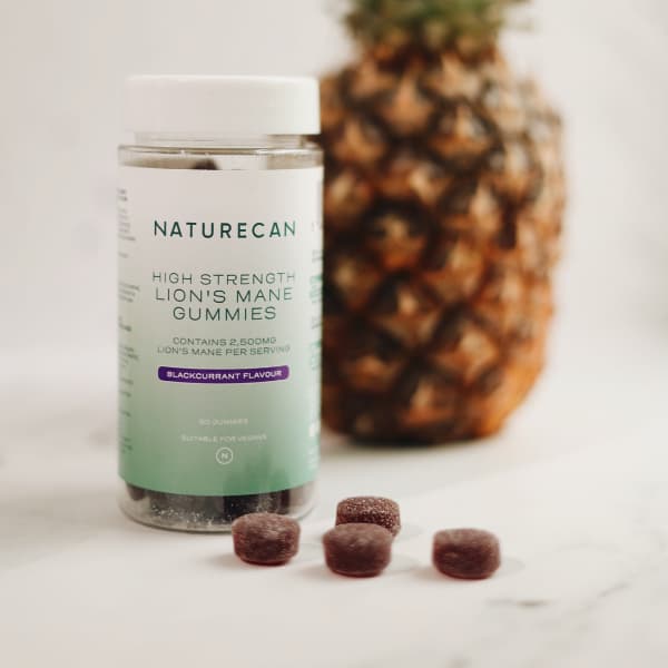 Lion’s Mane Karkit (Siiliorakas)