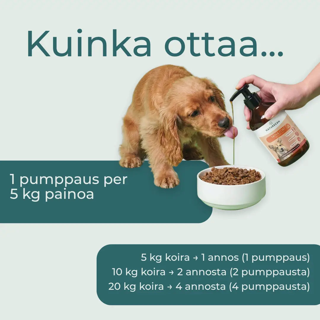 Osta Lohi ljy Koiralle 100 Luonnollinen Naturecan Suomi Naturecan FI Osta Lohi ljy Koiralle 100 Luonnollinen Naturecan Suomi Naturecan FI