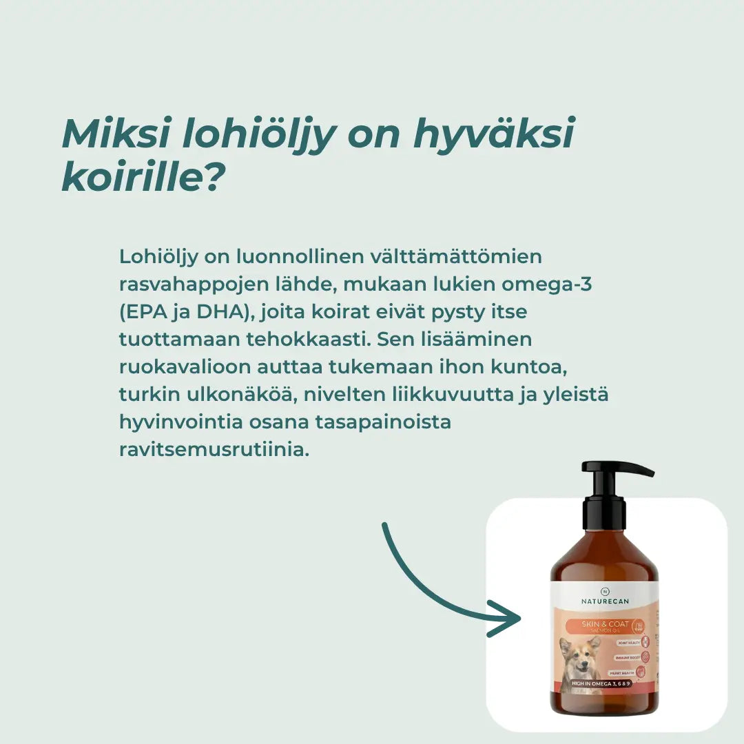 Lohiöljy koiralle hyödyt