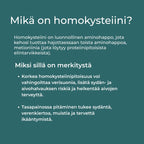 Mikä on homokysteiini