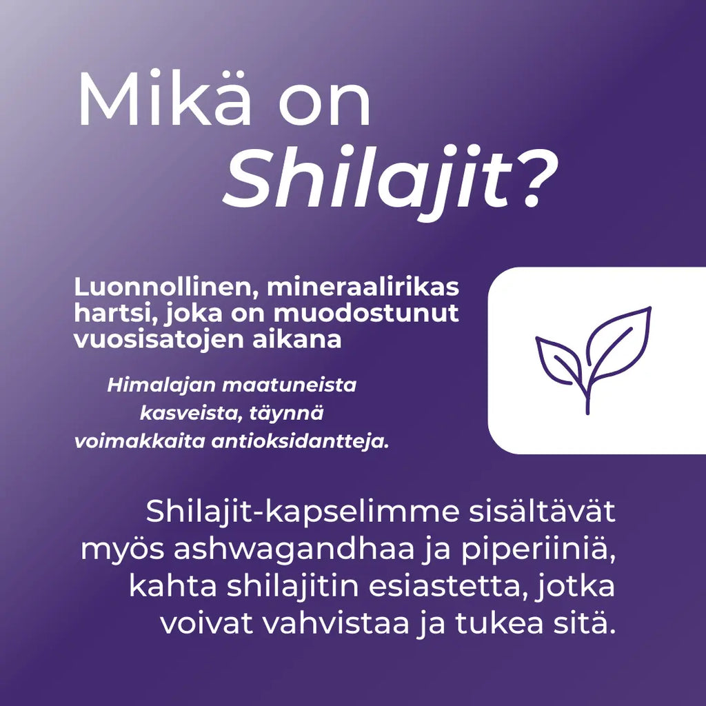 mikä on shilajit