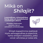 mikä on shilajit