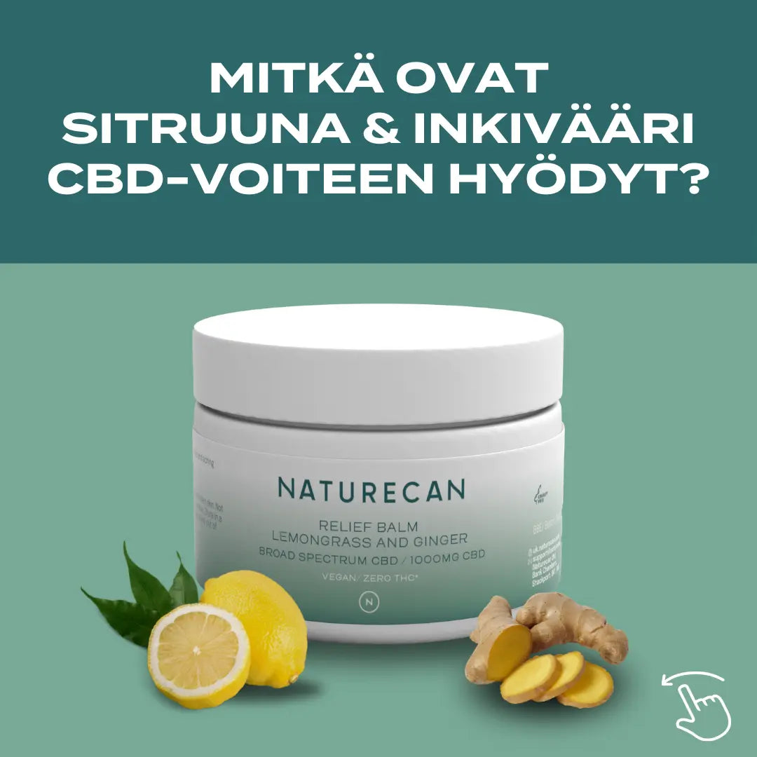 Sitruuna- ja inkivääri CBD-voide