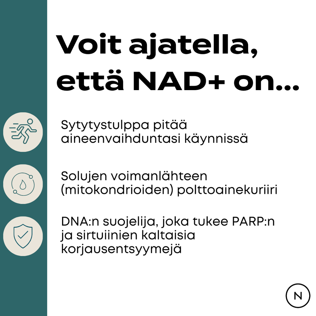 NAD+ hyödyt