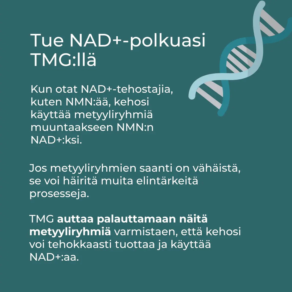 NAD+ ja TMG