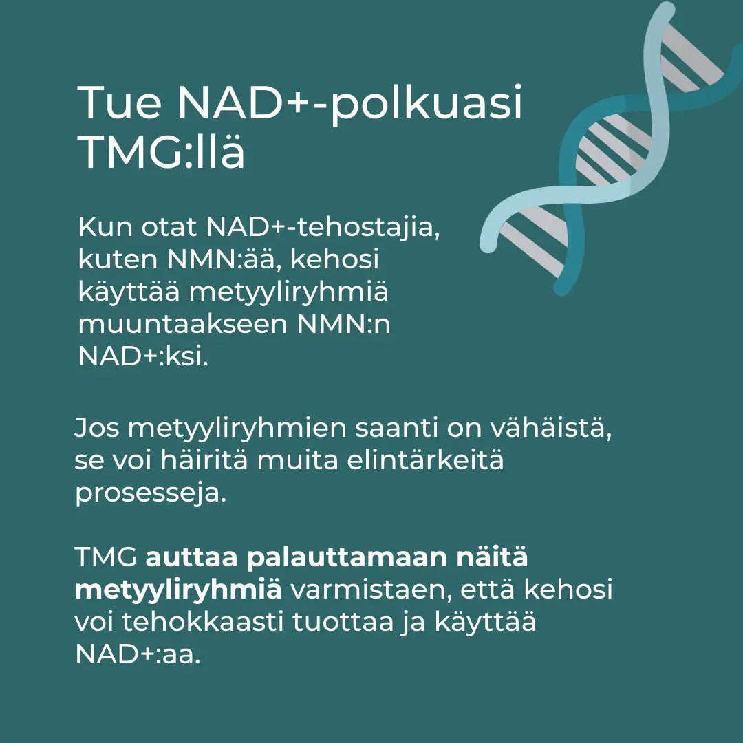 NAD+ ja TMG