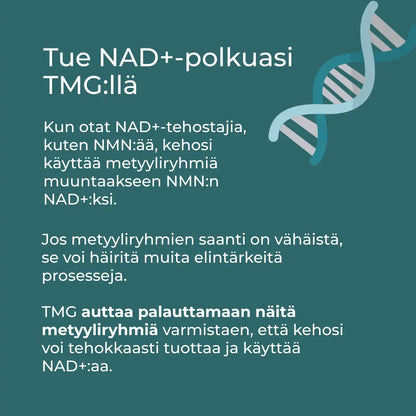 NAD+ ja TMG