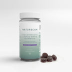 Lion’s Mane Karkit (Siiliorakas)