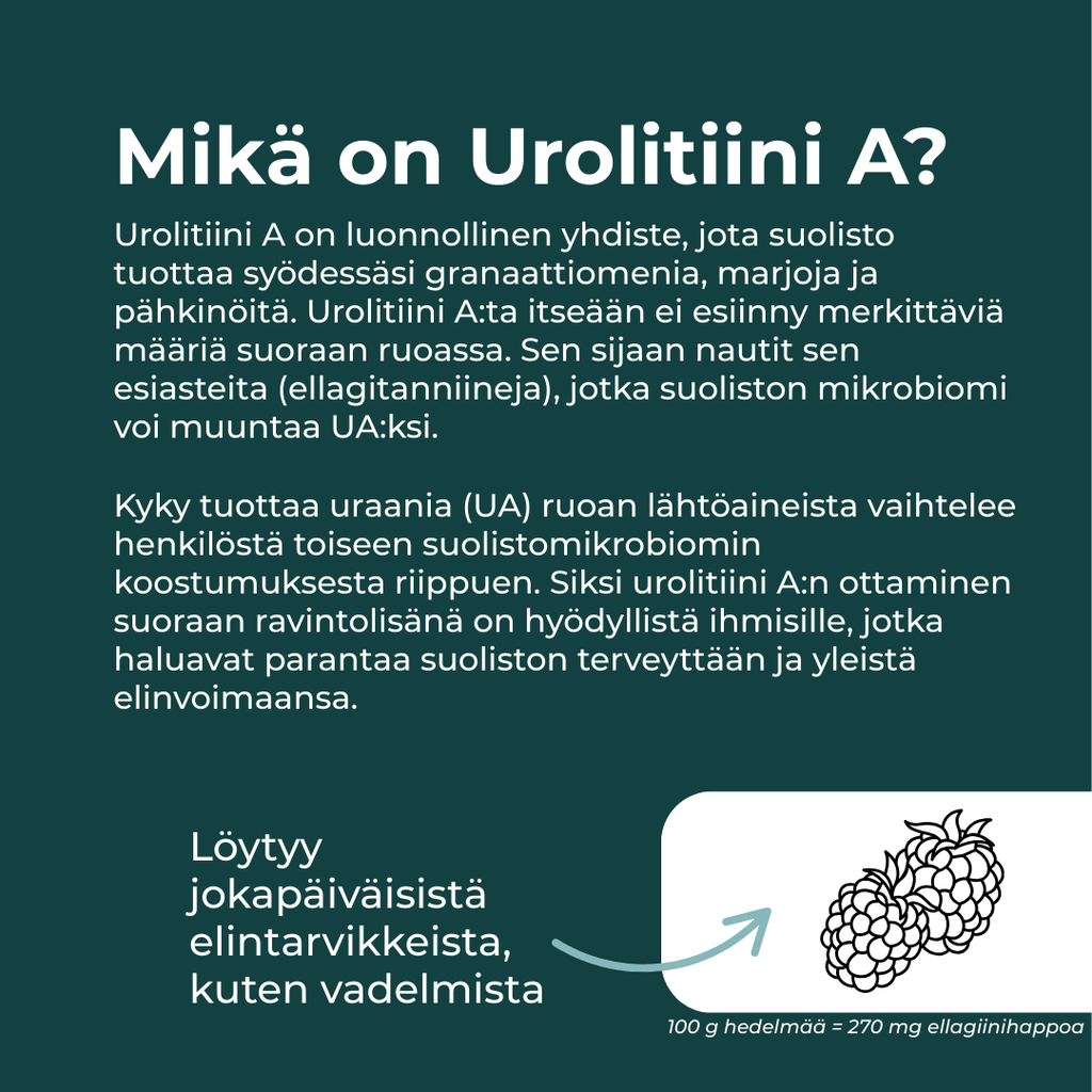 Mikä urolitiini A on