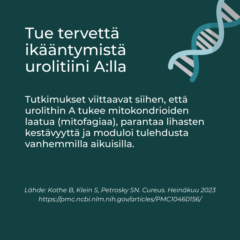 Tue terveyttä ikääntymistä urolitiili A:lla