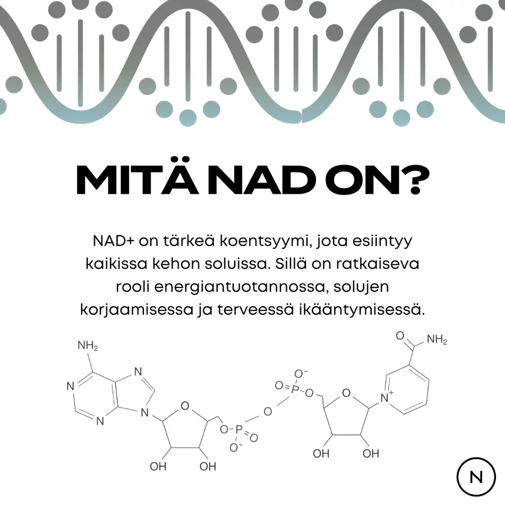 Mitä NAD on?